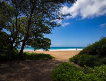 Kealia Beach Kauai