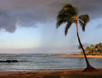poipu beach park kauai