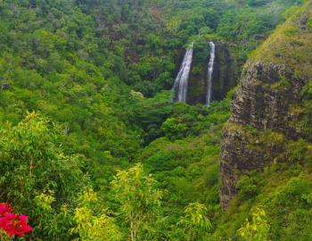 Eastern Shore Kauai - Activities