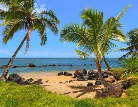 Anini-Wade Home Beach View