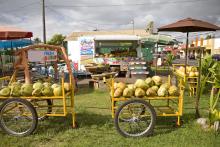 kauai farmers market, hawaii farmers markets