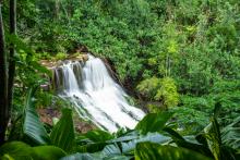hoopii falls kauai