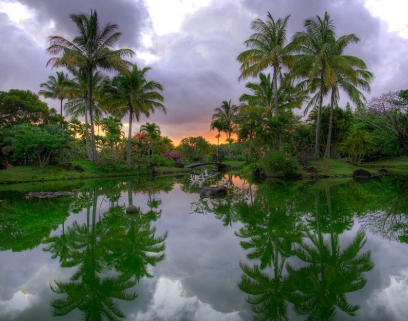 Naaina Kai Botantical Gardens