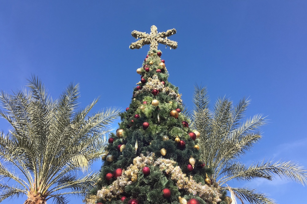Christmas Tree and Palm Trees
