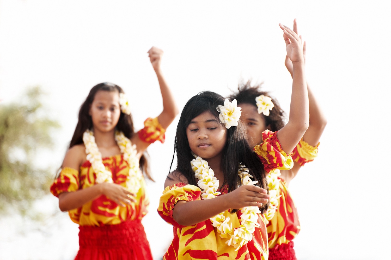 Girls Dancing In Hawaii And Wearing Lei