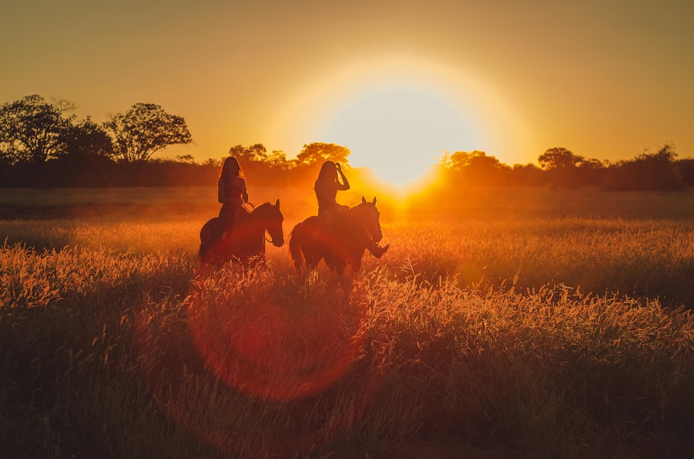 Horseback Riding in Kauai Horseback Riding